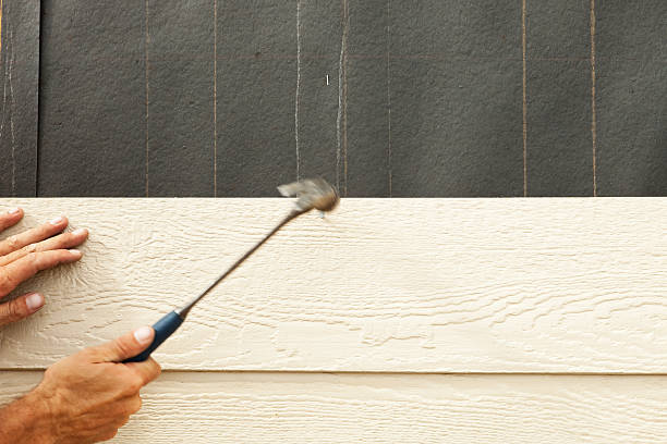 Affordable Siding Repair and Maintenance Services in Pomona, CA